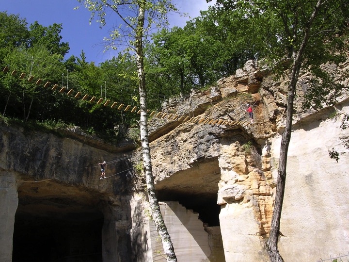 pont de singe